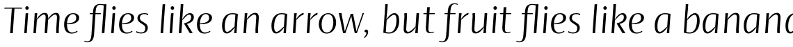 Ador Hairline Regular Italic