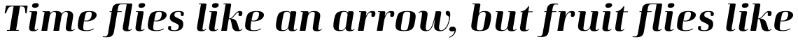 Curve Bold Italic