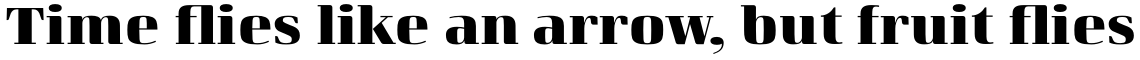 Curve ExtraBold