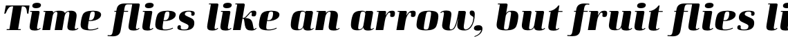 Curve ExtraBold Italic