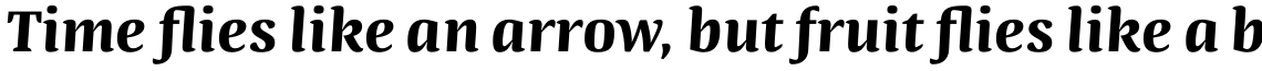 Quador Bold Italic