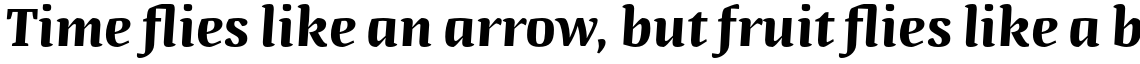 Quador Display Bold Italic