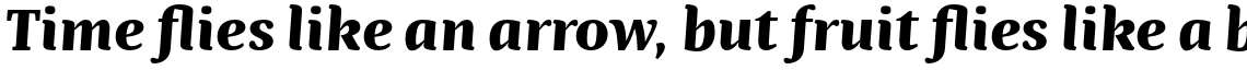 Bionik Bold Italic