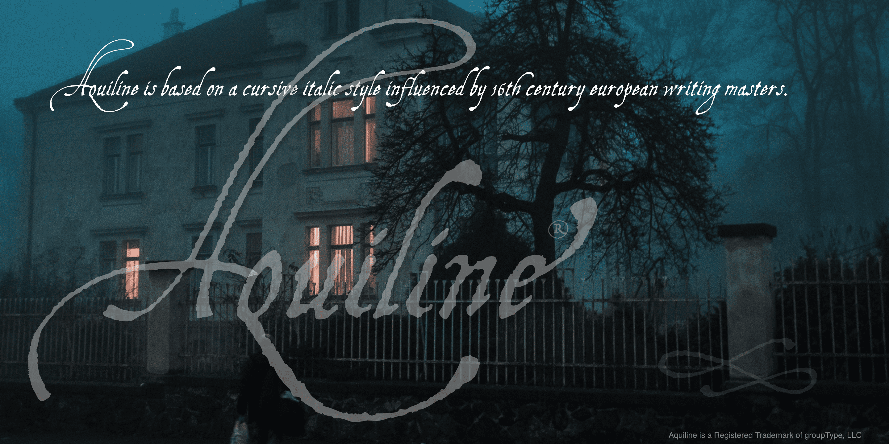 Aquiline