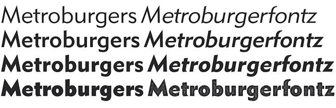 Detroit Metro Family 