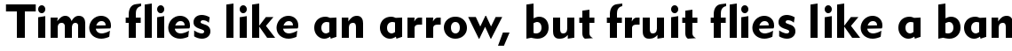 Detroit Metro Bold