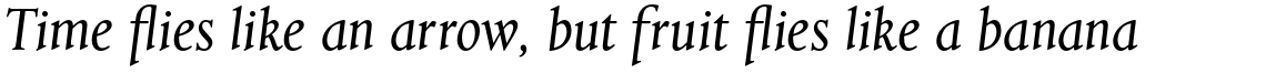 Aries Regular Italic