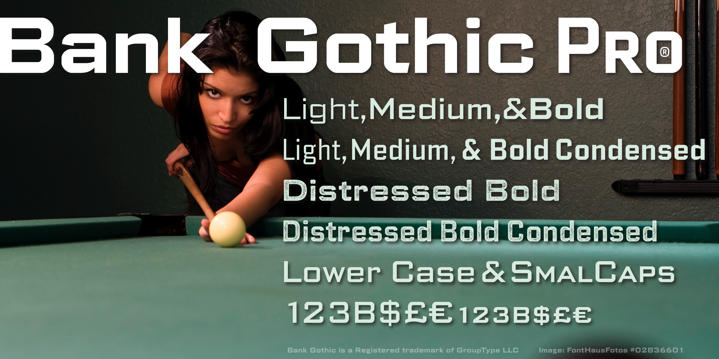 Bank Gothic Pro Family Fonts