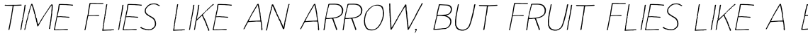 Autumn Voyage Light Italic