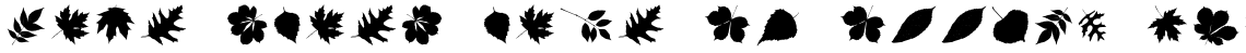 Autumn Voyage Leaves