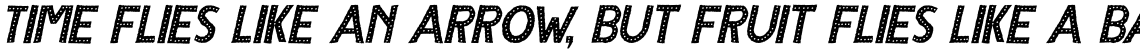 Compagnon Polka Italic