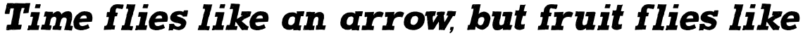 Homeward Bound Italic