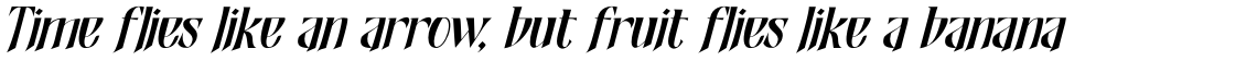 Shadowfield Italic