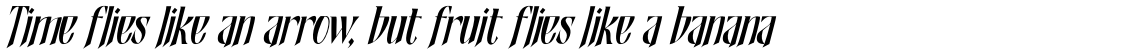 Shadowfield Narrow Italic