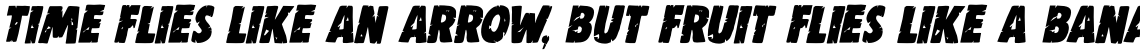 Woolwich Eroded Italic