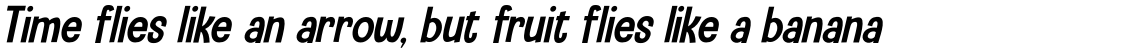 Camping Holiday Italic