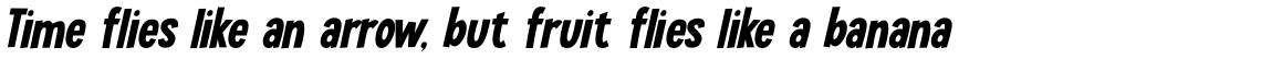 Lucky Goldfish Italic