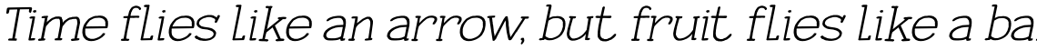 Pineapple Daydream Bold Italic