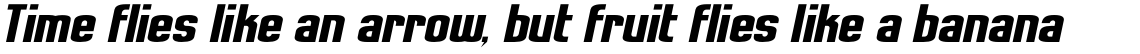 Roskilde Italic
