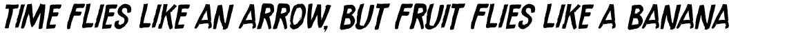 Ramkoers Italic