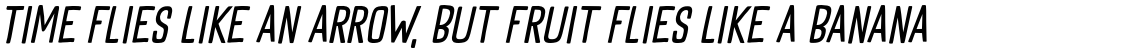 Goodie Bag Regular Italic