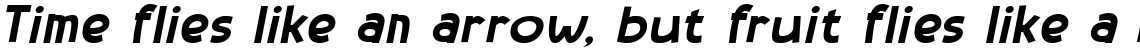 Backyard Hero Bold Italic