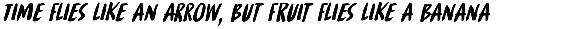 Spinwash Italic