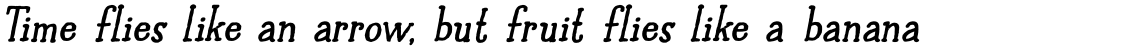 Halewyn Bold Italic
