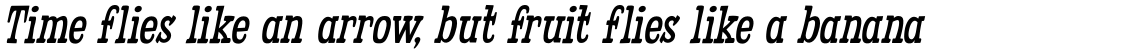 Fleabitten Italic
