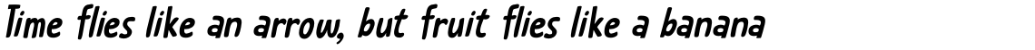 Catskin Italic