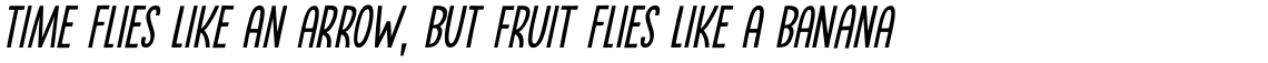 Dominant Type Italic