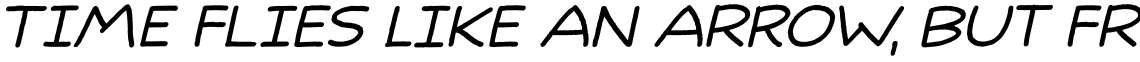 Identity Check Bold Italic