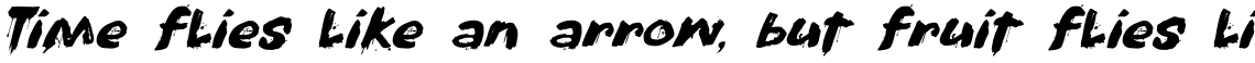 Nightbird 2024 Italic