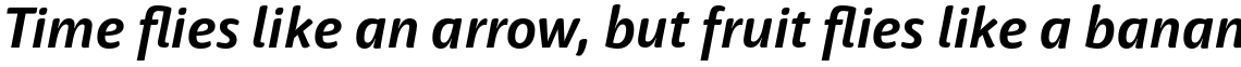 Haptic Bold Italic