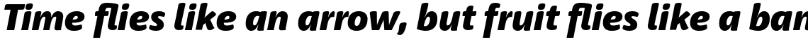 Haptic Pro Black Italic