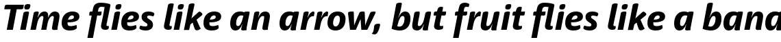Haptic Pro Extra Bold Italic
