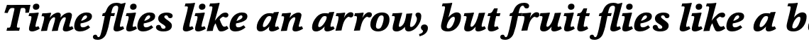 Cassia Bold Italic