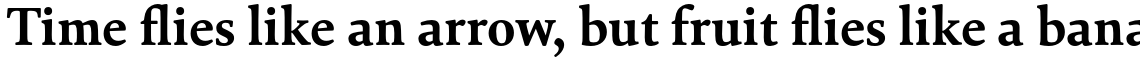 Cala Bold