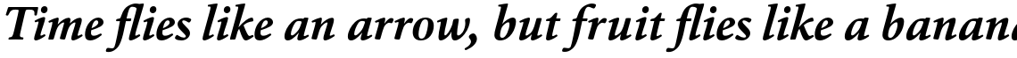 Cala Bold Italic