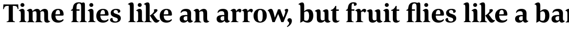 Corda Bold