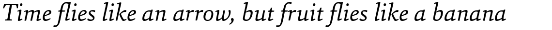 Sina Italic
