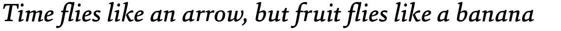 Sina Medium Italic