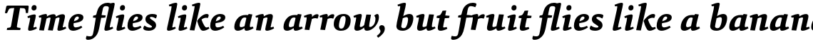 Sina Extra Bold Italic