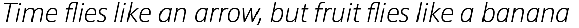 Epoca Pro Light Italic