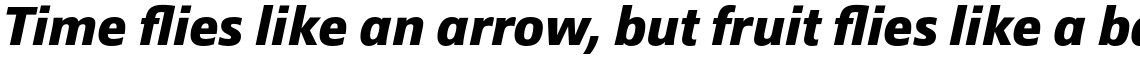 Epoca Pro Bold Italic