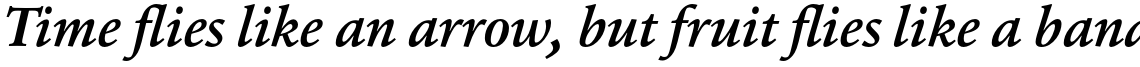Erato Bold Italic