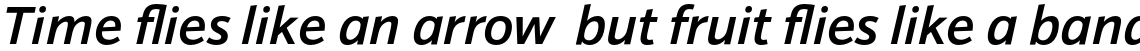 Sonus Medium Italic