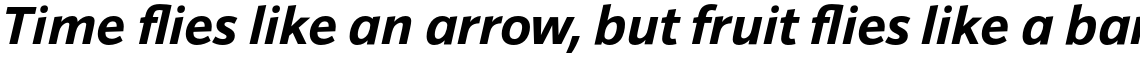 Sonus Bold Italic