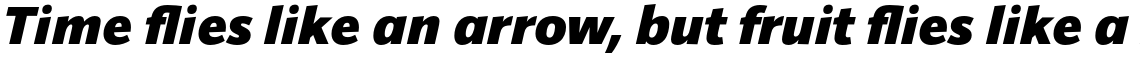 Sonus Black Italic