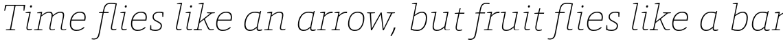 Foro Thin Italic